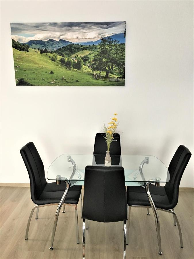 Apartmán Mountain View Escape Brašov Exteriér fotografie